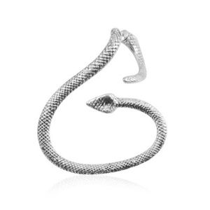 Snake Ear Wrap/Earring